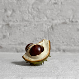 Porcelain Baby Horsechestnut Lid with Two Removable Nuts
