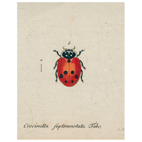 Little Ladybug (p 94) - FINAL SALE