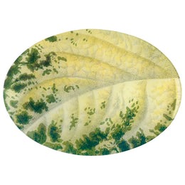 Green Coleus Leaf - FINAL SALE