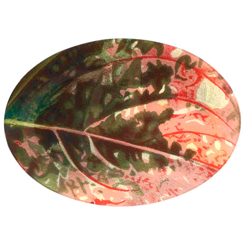 Variegated Pink Coleus Leaf - FINAL SALE