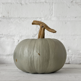 Medium Porcelain Crown Prince Squash