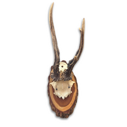 Black Forest Antlers on Plaque (#542)