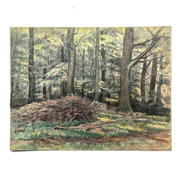 Evert Rabbers Early 20th-century Landscape Drawing (ERL12)