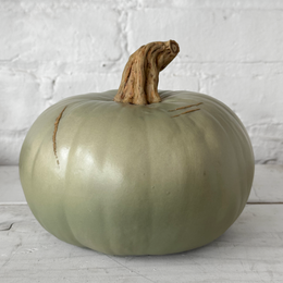 Large Porcelain Crown Prince Squash