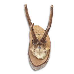 Black Forest Antlers on Plaque (#542)