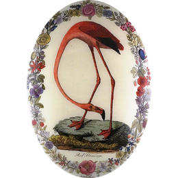 Flamingo with Flowers (Convex)