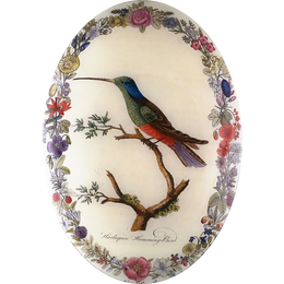 Harlequin Hummingbird with Flowers (Convex)