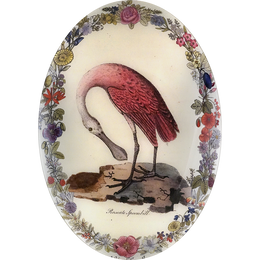Spoonbill with Flowers (Convex)