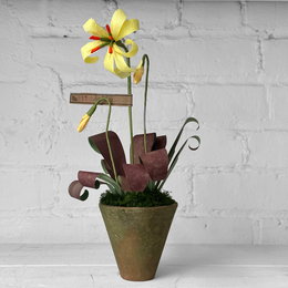 The Green Vase Trouted Lily