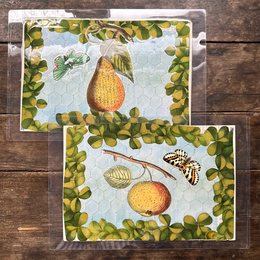 One of a Kind Collaged Fruit Mat Pair (2-01 & 2-02)