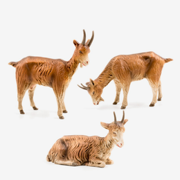 Group of 3 Nativity Goat Figures