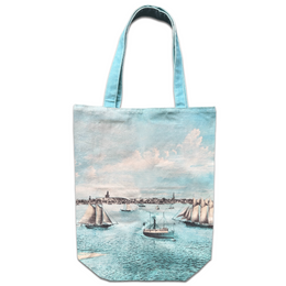 View From Long Point