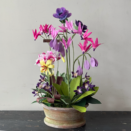 The Green Vase Spring Ephemerals No. 5