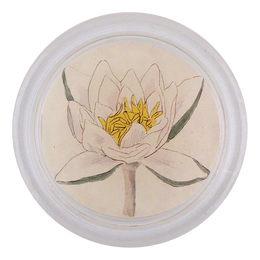 Water Lily - FINAL SALE