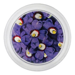 Purple Primula - FINAL SALE