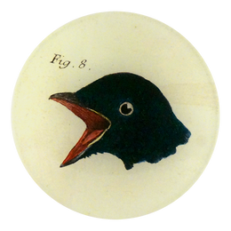 Bird Heads (Figure 8) is a four inch round plate with the head of a bird. Made to order using decoupage