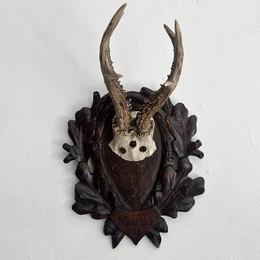 Black Forest Antlers on Carved Plaque (#551)