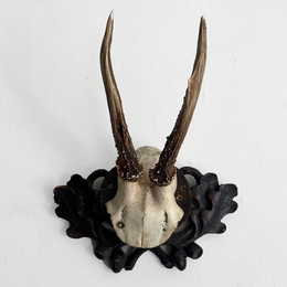 Black Forest Antlers on Carved Plaque (#554)