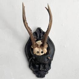 Black Forest Antlers on Carved Plaque (#556)
