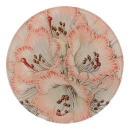 Cinnamon Campanulatum Rhododendron - FINAL SALE
