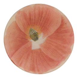 Simple Pink Poppy (790D)