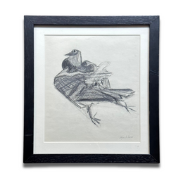 20th-century USA Bird Drawing by Olga Sears