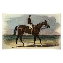 Teddington (Race Horse) - FINAL SALE