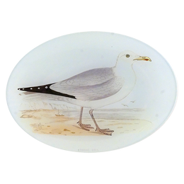 Herring Gull - FINAL SALE