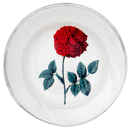 Dutch Hundred Leaved Rose Soup