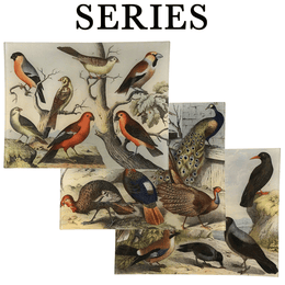 19c. Roman Numeral Birds