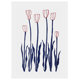 Blue & Red Tulips