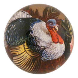 A Happy Thanksgiving