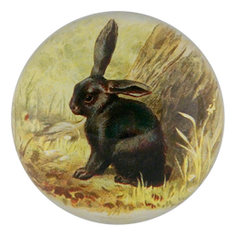 Black Bunny - FINAL SALE