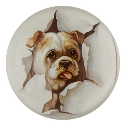 Doggie