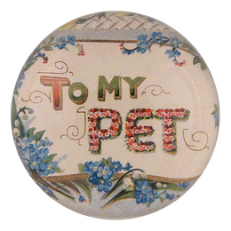 To My Pet