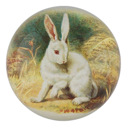 White Bunny - FINAL SALE