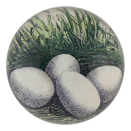Quail Eggs - FINAL SALE