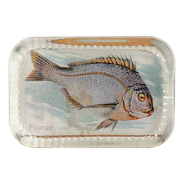 Porgy (Fish)