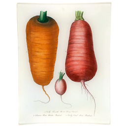 Short-Horn Carrot & Radishes - FINAL SALE