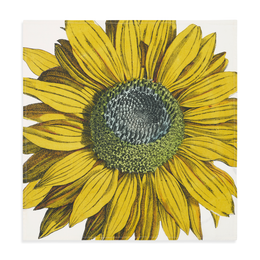 Summerill & Bishop x John Derian "Sunflower" Linen Napkin Set of 6