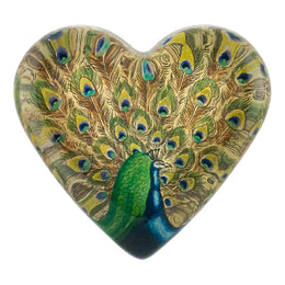 Fanned Peacock - FINAL SALE