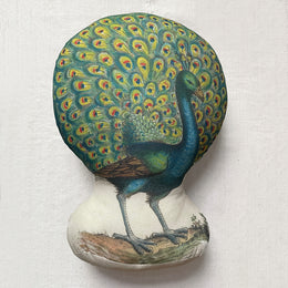 Peacock Pillow