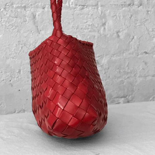 Leather Dragon Diffusion Rosanna Bag in  Red