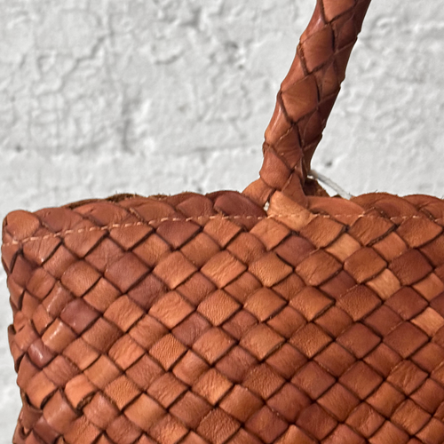 Leather Dragon Diffusion Vintage Mesh Tote in Tan