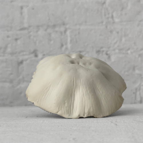 Small Porcelain Mushroom