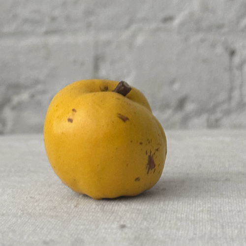 Porcelain Small Quince (PP06)