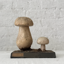 Antique Mushroom Model #7