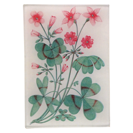 Clover Cream (Card Back)