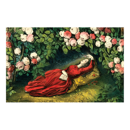 Sleeping Beauty