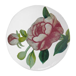 18th c Fan - Superb Rose Plate